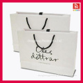 Custom Fashional Shopping Paper Bags with Handle (paper bag-03)